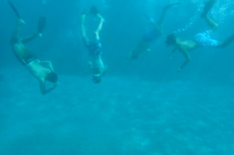 Four students are underwater and wearing snorkeling masks.