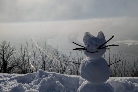 A snowcat with stick whiskers on a snowy slope in front of a foggy landscape.