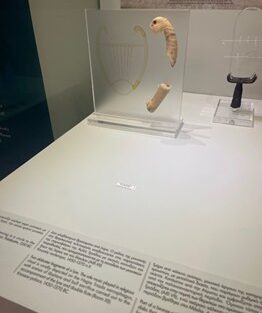 Museum display of an ancient lyre in a Greek history musem.