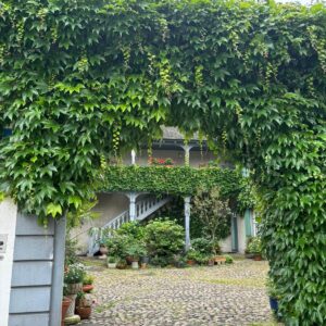 Patio area of a house with an archway covered in ivy and many potted plants outside the entrance.